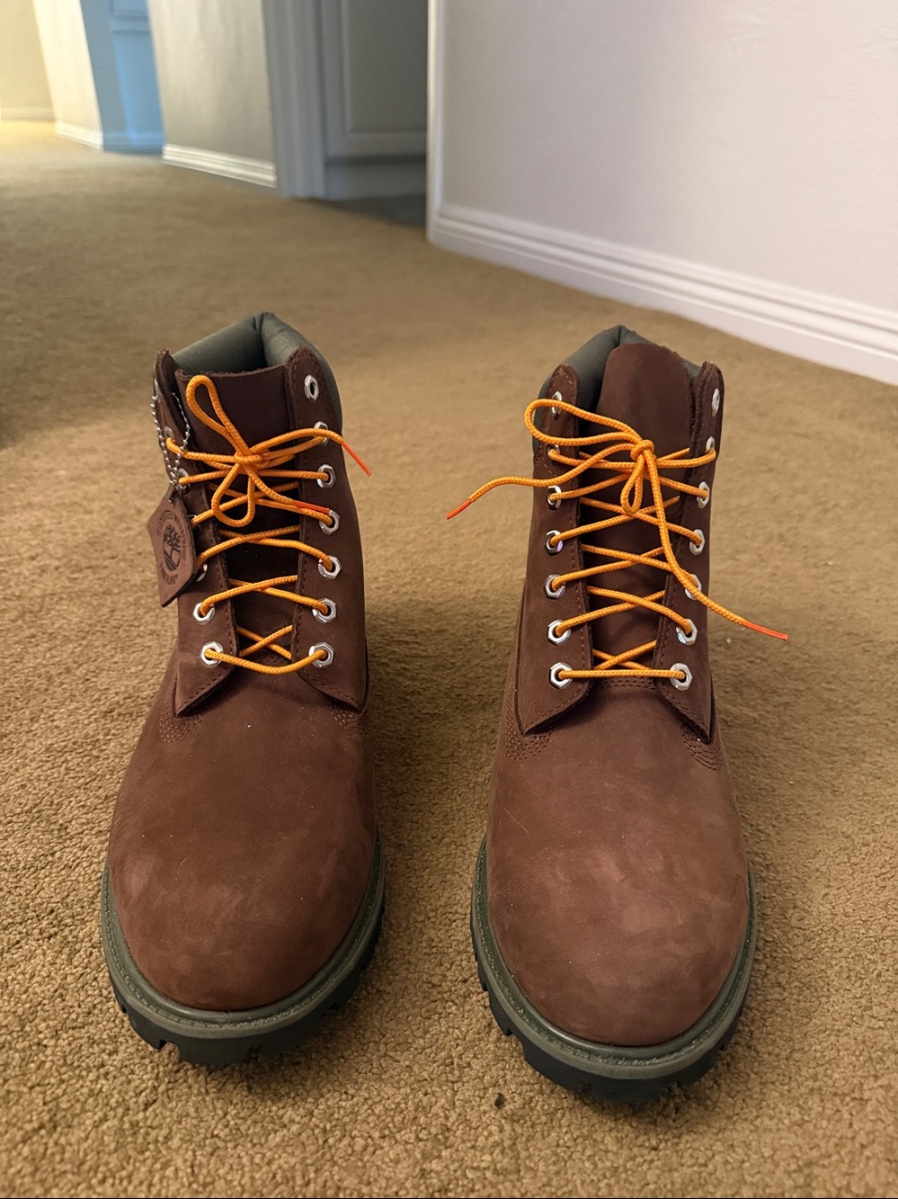Timberland• 6” Premium Waterproof Boot in Dark Brown, Green - Picture 3 of 6